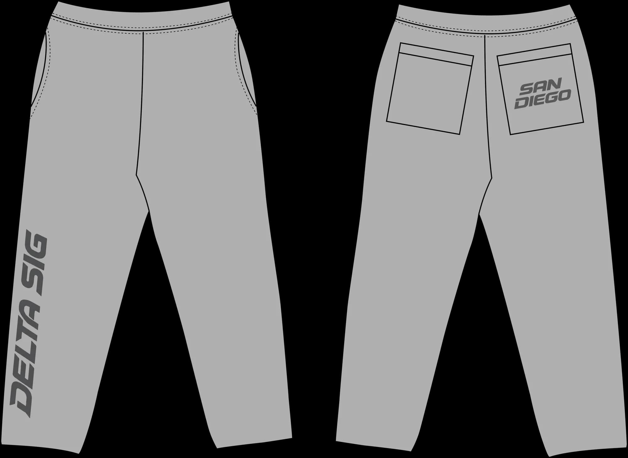 Delta Sigma Phi chrome orbit sweats